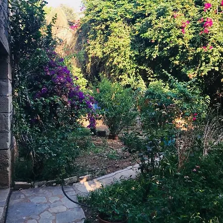 Appartement Kostas